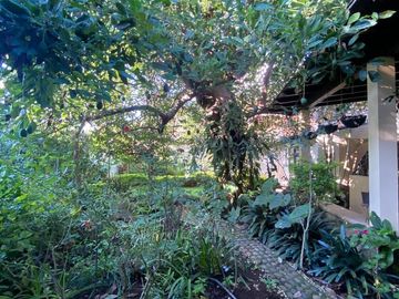 Calle Morelos Casa En VENTA