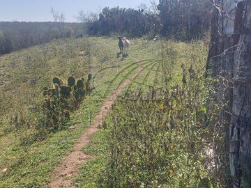 Ranchos Venta Montemorelos Zona Montemorelos 01-RV-12071