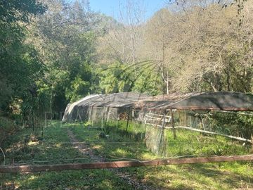 Ranchos Venta Montemorelos Zona Montemorelos 01-RV-12071
