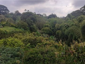 VENDO FINCA SECTOR MORELIA
