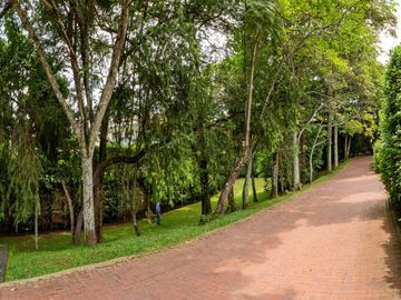 Casa En Venta Ciudad Jardin La Alamedita