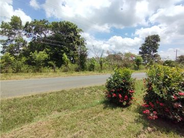 Se Vende Terreno con Lotes Comerciales El Espino-La Chorrera (DR)