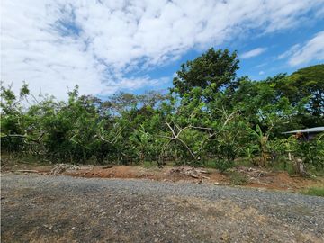 Se Vende Lote de 900m2 La Seda-Chorrera (DR)