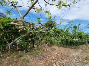 Se Vende Lote de 900m2 La Seda-Chorrera (DR)