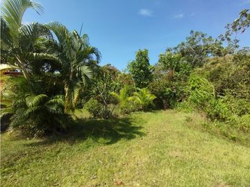 Se Vende Terreno de 4.700m2 en Potrero Grande-La Chorrera (DR)