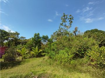 Se Vende Terreno de 4.700m2 en Potrero Grande-La Chorrera (DR)