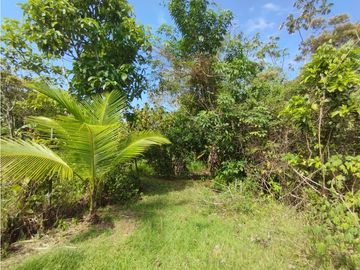 Se Vende Terreno de 4.700m2 en Potrero Grande-La Chorrera (DR)