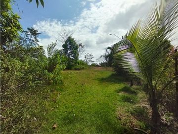 Se Vende Terreno de 4.700m2 en Potrero Grande-La Chorrera (DR)
