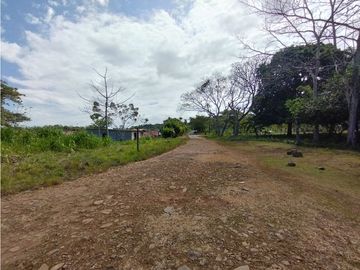 Se Vende Terreno de 4.700m2 en Potrero Grande-La Chorrera (DR)