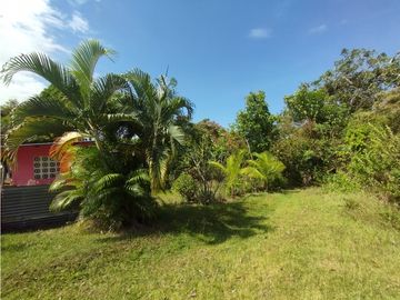 Se Vende Terreno de 4.700m2 en Potrero Grande-La Chorrera (DR)