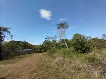 Se Vende Terreno de 4.700m2 en Potrero Grande-La Chorrera (DR)