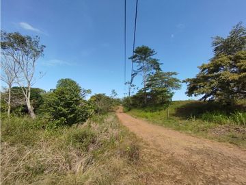 Se Vende Terreno de 4.700m2 en Potrero Grande-La Chorrera (DR)