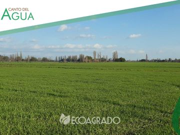 Parcela en venta en CHILLÁN