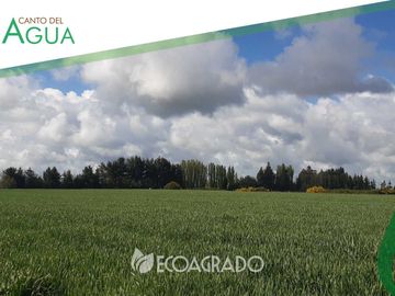 Parcela en venta en CHILLÁN