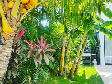 VENTA CASA DE 5 RECAMARAS EN TULUM   5 BEDROOM HOUSE ON SALE IN TULUM