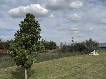 Parcela en Venta en Parcelas Santa Virginia km16 Camino a Cato