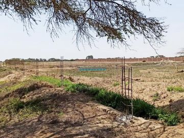Terrenos Rusticos Venta CAL. Fundo Yencala Boggiano  - CHICLAYO