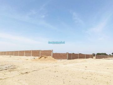 Terrenos Rusticos Venta CAL. Fundo Yencala Boggiano  - CHICLAYO