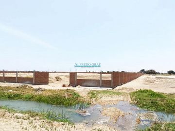 Terrenos Rusticos Venta CAL. Fundo Yencala Boggiano  - CHICLAYO