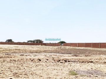 Terrenos Rusticos Venta CAL. Fundo Yencala Boggiano  - CHICLAYO