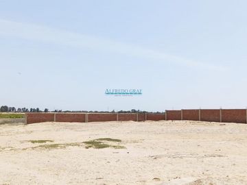 Terrenos Rusticos Venta CAL. Fundo Yencala Boggiano  - CHICLAYO