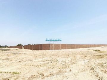 Terrenos Rusticos Venta CAL. Fundo Yencala Boggiano  - CHICLAYO