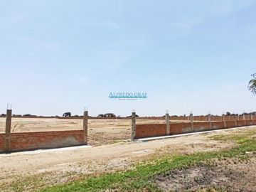 Terrenos Rusticos Venta CAL. Fundo Yencala Boggiano  - CHICLAYO