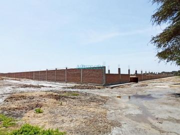 Terrenos Rusticos Venta CAL. Fundo Yencala Boggiano  - CHICLAYO