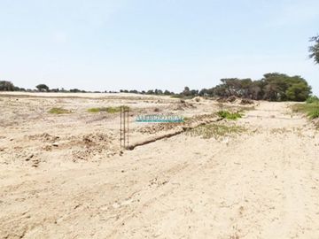 Terrenos Rusticos Venta CAL. Fundo Yencala Boggiano  - CHICLAYO