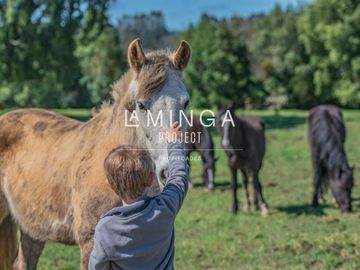Sitio en Venta en Rio Maullín -Puerto Varas