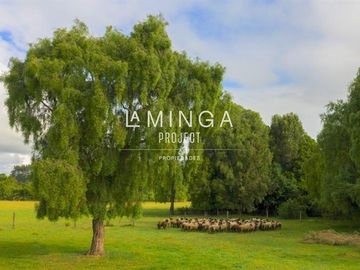 Sitio en Venta en Rio Maullín -Puerto Varas