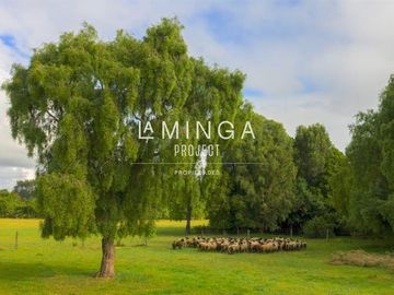 Sitio en Venta en Rio Maullín -Puerto Varas
