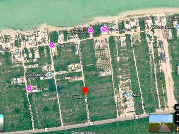 Terreno a 150m del mar, en la playa de San Benito, Yucatán
