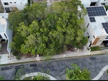TERRENO EN PLAYA DEL CARMEN  ARCOS BAMBÚ SPECTA 221