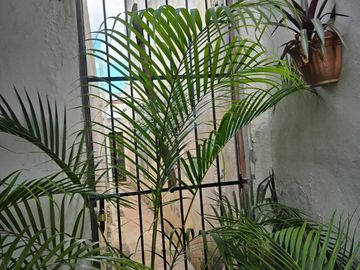 Casa en venta de una planta en la Colonia México Mérida