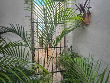 Casa en venta de una planta en la Colonia México Mérida