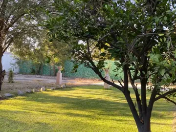 Casa en Venta en Lerdo Centro, Lerdo, Durango