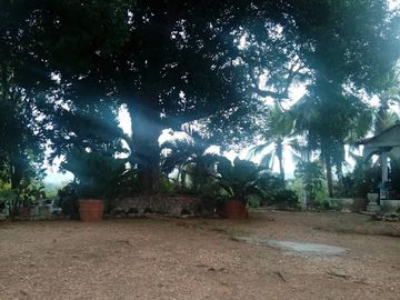 VENTA de CASA CAMPESTRE en CARTAGENA