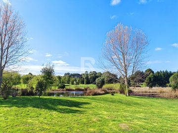 PARCELA DE 6.200M2 CON LAGUNA PROPIA A 5KM DE PTO VARAS