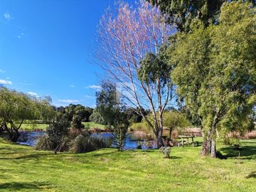 PARCELA DE 6.200M2 CON LAGUNA PROPIA A 5KM DE PTO VARAS