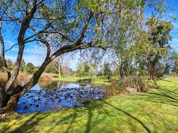 PARCELA DE 6.200M2 CON LAGUNA PROPIA A 5KM DE PTO VARAS