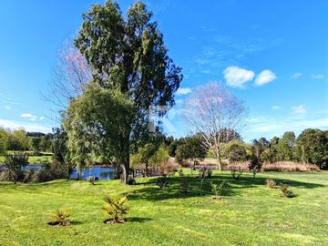 PARCELA DE 6.200M2 CON LAGUNA PROPIA A 5KM DE PTO VARAS