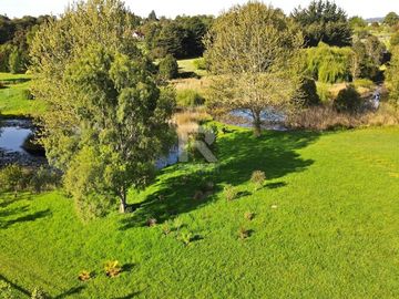 PARCELA DE 6.200M2 CON LAGUNA PROPIA A 5KM DE PTO VARAS