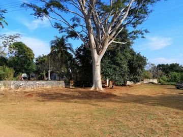 Terreno con bodegas en Xcampeu, Campeche