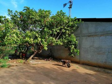 Terreno con bodegas en Xcampeu, Campeche