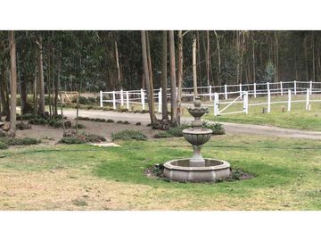 Lasso, Terreno en Venta, 4916m2, Cos PB 15%, 2 Pisos