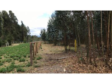 Lasso, Terreno en Venta, 5120m2, Cos PB 15%, 2 Pisos