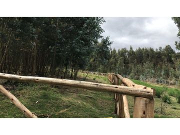 Lasso, Terreno en Venta, 5120m2, Cos PB 15%, 2 Pisos