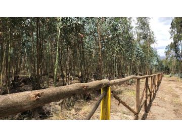 Lasso, Terreno en Venta, 5120m2, Cos PB 15%, 2 Pisos