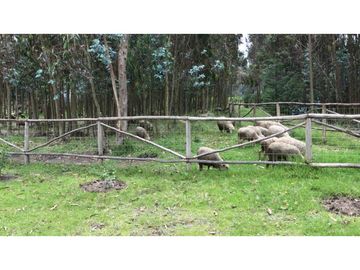 Lasso, Terreno en Venta, 5120m2, Cos PB 15%, 2 Pisos